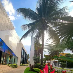 Isla Mujeres Underwater Museum (MUSA) - Isla Mujeres