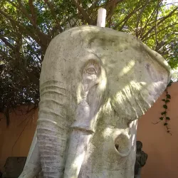 Isla Mujeres Underwater Museum (MUSA) - Isla Mujeres