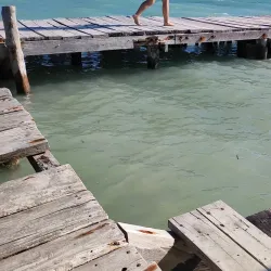 Playa Lancheros - Isla Mujeres