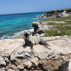Punta Sur - Isla Mujeres