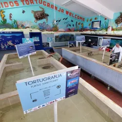 Tortugranja (Turtle Farm) - Isla Mujeres