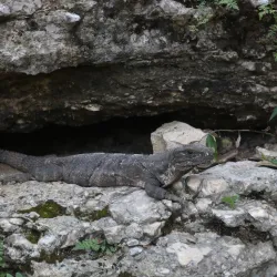 Cenote Xlacah - Kanasín