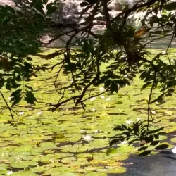 Cenote Xlacah - Kanasín