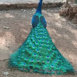 Parque Zoológico del Centenario - Kanasín