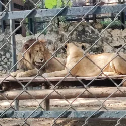 Parque Zoológico del Centenario - Kanasín
