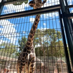 Parque Zoológico del Centenario - Kanasín