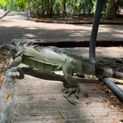Parque Zoológico del Centenario - Kanasín