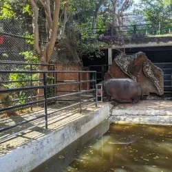 Parque Zoológico del Centenario - Kanasín