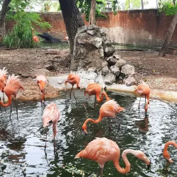 Parque Zoológico del Centenario - Kanasín
