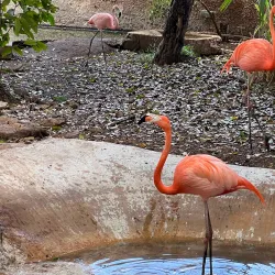 Parque Zoológico del Centenario - Kanasín