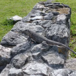 Zona Arqueológica de Xcambó - Kanasín