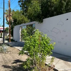 Museo de La Ballena (Whale Museum) - La Paz