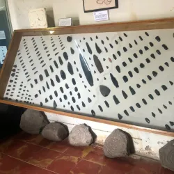 Museo Regional de La Piedad - La Piedad