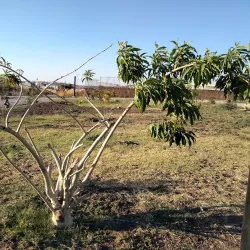 Parque Ecológico La Piedad - La Piedad
