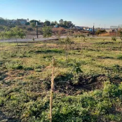 Parque Ecológico La Piedad - La Piedad