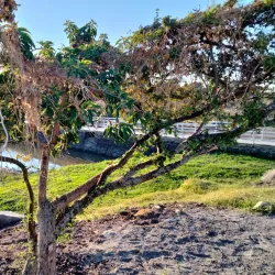 Parque Ecológico La Piedad - La Piedad