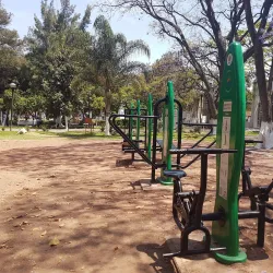 Parque Morelos - La Piedad