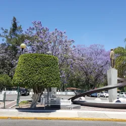 Parque Morelos - La Piedad