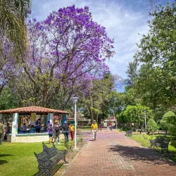 Parque Morelos - La Piedad
