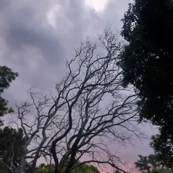 Parque Morelos - La Piedad