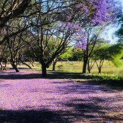 Parque Metropolitano de León - León de los Aldama