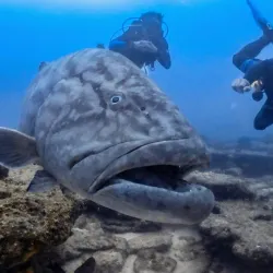 Cabo Pulmo National Park - Loc Cabo