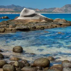 Cabo Pulmo National Park - Loc Cabo