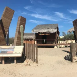 Cabo Pulmo National Park - Loc Cabo