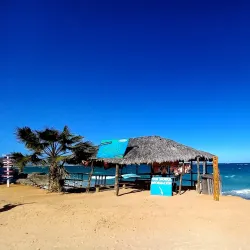 Cabo Pulmo National Park - Loc Cabo