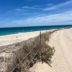 Cabo Pulmo National Park - Loc Cabo