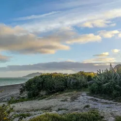 Cabo Pulmo National Park - Loc Cabo