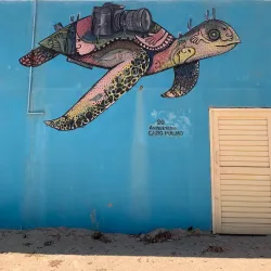 Cabo Pulmo National Park - Loc Cabo