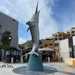 Cabo San Lucas Marina - Loc Cabo