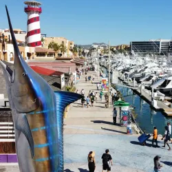 Cabo San Lucas Marina - Loc Cabo