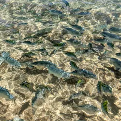 Chileno Bay - Loc Cabo