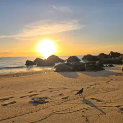 Chileno Bay - Loc Cabo