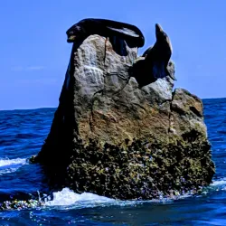 El Arco de Cabo San Lucas (The Arch) - Loc Cabo