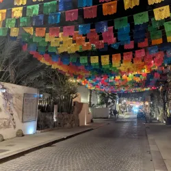 San José del Cabo Art District - Loc Cabo