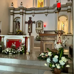 San José del Cabo Mission - Loc Cabo