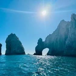 Whale Watching Tours - Loc Cabo