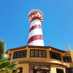 Whale Watching Tours - Loc Cabo