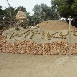 Wirikuta Botanical Park - Loc Cabo