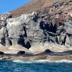 Coronado Island - Loreto