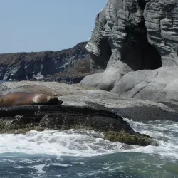 Isla del Carmen - Loreto