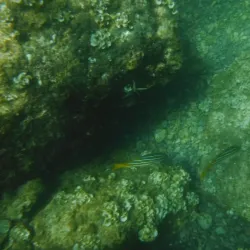 Isla del Carmen - Loreto