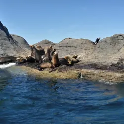 Loreto Bay National Marine Park - Loreto