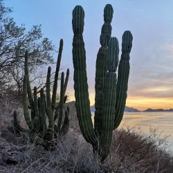 Loreto Bay National Marine Park - Loreto