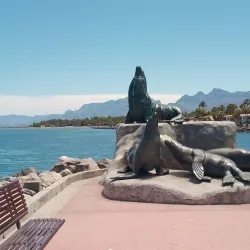 Malecon de Loreto - Loreto