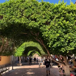 Mission of Our Lady of Loreto Conchó - Loreto