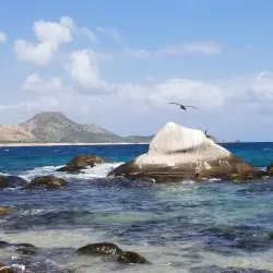Cabo Pulmo National Marine Park - Los Cabos